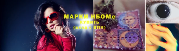 мет Алексин
