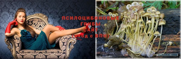 героин Алзамай