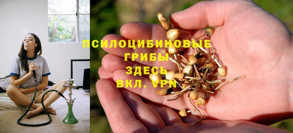 мет Алексин