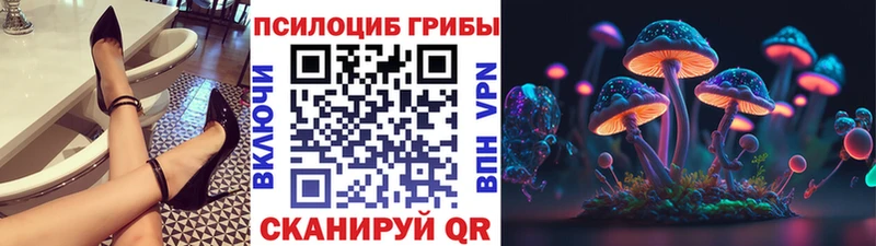 omg как войти  где найти   Санкт-Петербург  Галлюциногенные грибы MAGIC MUSHROOMS 